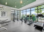 Thumbnail 5 of 26 - a workout room with gym equipment and large windows