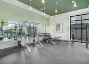 Thumbnail 10 of 26 - the gym at the preserve at johnsons crossing