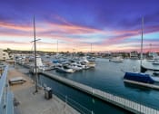 Thumbnail 82 of 135 - a marina filled with boats at sunset