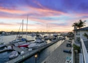 Thumbnail 79 of 135 - a marina with boats docked at sunset