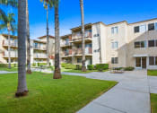 Thumbnail 45 of 52 - an apartment building with a courtyard and palm trees