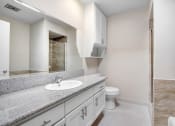 Thumbnail 9 of 23 - a bathroom with a sink and a toilet and a mirror