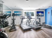 Thumbnail 14 of 42 - the gym at the resort at longboat key club