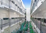 Thumbnail 16 of 42 - a corridor with plants in the middle of a building