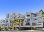 Thumbnail 34 of 45 - a white apartment building with palm trees in front of it