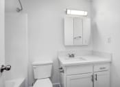 Thumbnail 22 of 73 - a bathroom with a sink toilet and a mirror