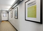 Thumbnail 25 of 25 - a hallway with framed pictures on the wall and a carpeted floor