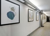 Thumbnail 24 of 24 - a hallway with pictures on the wall and a corridor with elevators