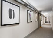 Thumbnail 23 of 24 - a hallway with pictures on the wall and a corridor with a door