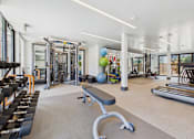 Thumbnail 35 of 40 - A gym with a variety of equipment including treadmills, weights, and exercise balls.