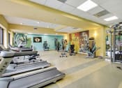 Thumbnail 15 of 20 - Fitness Center