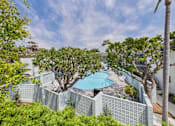 Thumbnail 113 of 135 - A pool surrounded by trees and a white lattice fence.