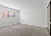 Thumbnail 7 of 15 - the spacious living room of an apartment with carpet and a window