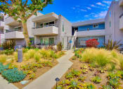 Thumbnail 43 of 102 - Drought Resistant Landscaping