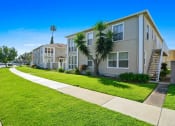 Thumbnail 8 of 11 - Building Entrance With Palm Tree