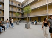 Thumbnail 19 of 20 - A group of people are standing and sitting in a courtyard with a tree in the middle.