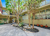 Thumbnail 47 of 49 - A courtyard with trees and potted plants.