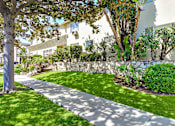 Thumbnail 46 of 49 - A tree-lined walkway leads to a white building.