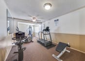 Thumbnail 21 of 22 - Fitness center including treadmill, stationary bike, Sit-up bench and pec deck machine