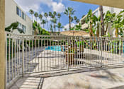 Thumbnail 6 of 28 - A pool surrounded by a metal fence with a palm tree in the background.
