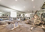 Thumbnail 26 of 33 - Fitness Center with flat bench, elliptical trainer, stationary bike, free weights, carpet flooring