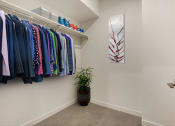 Thumbnail 23 of 38 - a walk in closet with a plant and rack of clothes