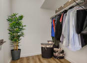 Thumbnail 13 of 38 - a walk in closet with a plant and baskets on the floor