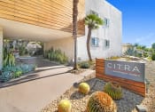Thumbnail 57 of 66 - the entrance to cimarron apartment homes with cactus and other plants