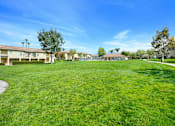 Thumbnail 11 of 11 - the preserve at ballantyne commons grass courtyard with houses