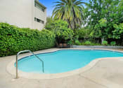 Thumbnail 11 of 15 - a swimming pool with a building and palm tree in the background