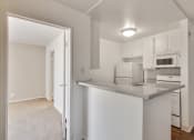 Thumbnail 51 of 61 - Kitchen with Breakfast Bar