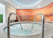 Thumbnail 92 of 95 - A hot tub in a room with a large mural on the wall.