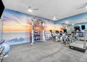 Thumbnail 85 of 95 - A gym with a sunset mural on the wall.