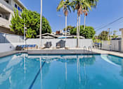 Thumbnail 18 of 19 - A swimming pool surrounded by palm trees and a white fence.