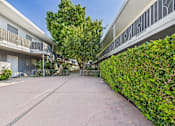 Thumbnail 50 of 55 - A tree in the middle of a courtyard surrounded by buildings.