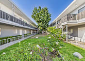 Thumbnail 51 of 55 - A balcony of a building overlooks a garden with a tree and flowers.