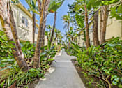 Thumbnail 11 of 24 - A pathway is lined with palm trees and shrubbery.