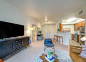 Thumbnail 48 of 53 - A living room with a television, a couch, and a coffee table.