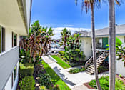 Thumbnail 23 of 251 - A house with a green door and a palm tree in front.