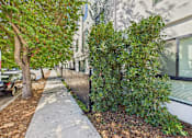 Thumbnail 24 of 32 - A tree and shrubbery line a sidewalk in front of a building.