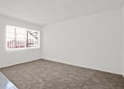 Thumbnail 6 of 38 - the spacious living room of an apartment with carpet and a window
