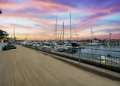 Thumbnail 130 of 135 - a view of the marina at sunset