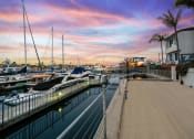 Thumbnail 129 of 135 - a marina with boats and yachts at sunset