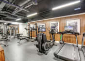 Thumbnail 35 of 95 - the gym is equipped with cardio equipment and weights