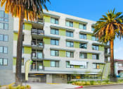 Thumbnail 13 of 39 - a large apartment building with palm trees in front of it