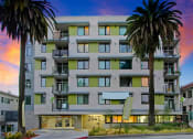 Thumbnail 39 of 39 - a view of a building with palm trees in front of it