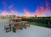 Thumbnail 34 of 39 - a picnic table on a patio with a city skyline in the background
