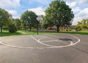 Thumbnail 16 of 19 - Basketball Court at Ashmore Trace
