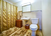 Thumbnail 4 of 15 - Bathroom in a 1-bed, 1-bath apartment at Wesley Park Apartments.