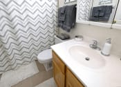 Thumbnail 3 of 19 - Full Bathroom at Ashmore Trace Apartments